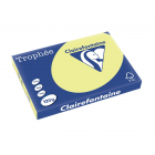 Clairefontaine Trophée Pastel, gekleurd papier, A3, 120 g, 250 vel, citroengeel