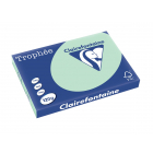 Clairefontaine Trophée Pastel, gekleurd papier, A3, 120 g, 250 vel, groen