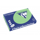 Clairefontaine Trophée Pastel, gekleurd papier, A3, 80 g, 500 vel, natuurgroen