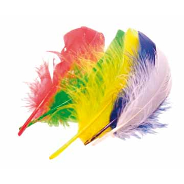 Bouhon pluimen 15 cm, 50 stuks