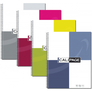 Calipage spiraalschrift ft A4, geruit, geassorteerde kleuren, 100 bladzijden