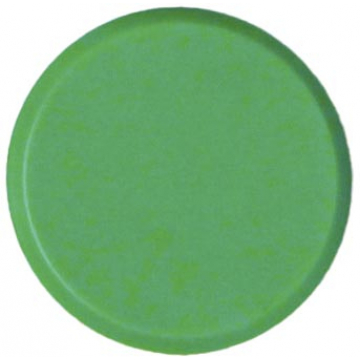 Bouhon magneten, 20 mm, groen, pak van 10 stuks