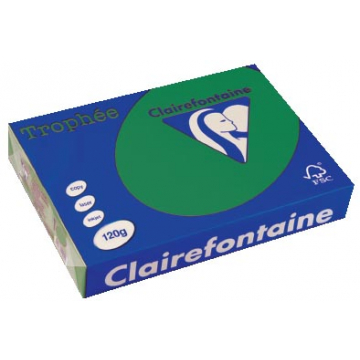 Clairefontaine Trophée Intens A4 dennengroen, 120 g, 250 vel
