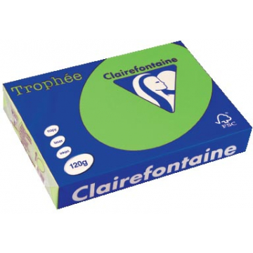 Clairefontaine Trophée Intens A4 grasgroen, 120 g, 250 vel