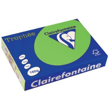 Clairefontaine Trophée Intens A4 grasgroen, 160 g, 250 vel