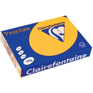 Clairefontaine Trophée Intens A4 zonnebloemgeel, 120 g, 250 vel