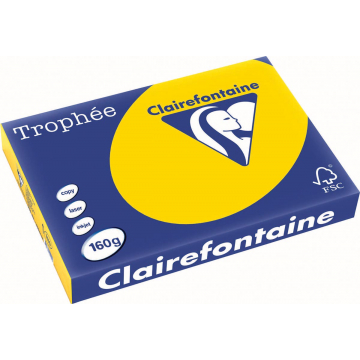 Clairefontaine Trophée Pastel A3 goudgeel, 160 g, 250 vel