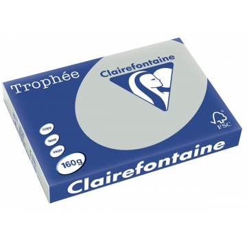 Clairefontaine Trophée Pastel A3 lichtgrijs, 160 g, 250 vel
