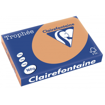 Clairefontaine Trophée Pastel A3 mokkabruin, 160 g, 250 vel