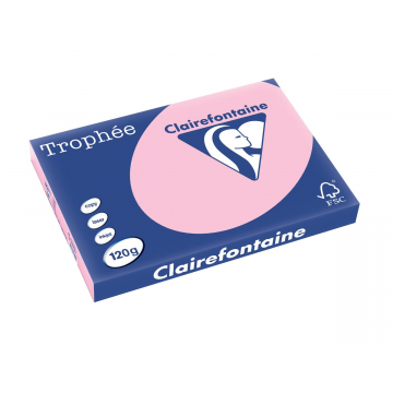 Clairefontaine Trophée Pastel A3 roze, 120 g, 250 vel