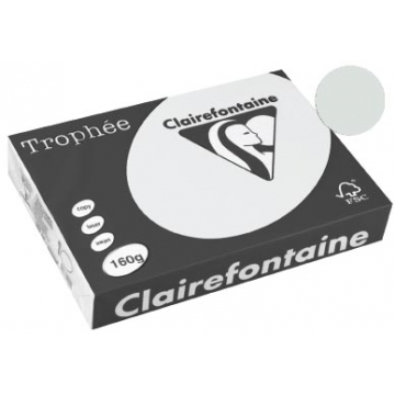 Clairefontaine Trophée Pastel A4 lichtgrijs, 160 g, 250 vel
