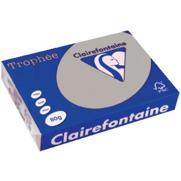 Clairefontaine Trophée Pastel A4 lichtgrijs, 80 g, 500 vel
