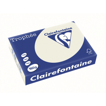 Clairefontaine Trophée Pastel A4 parelgrijs, 160 g, 250 vel