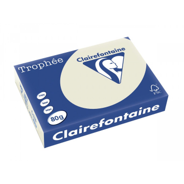 Clairefontaine Trophée Pastel A4 parelgrijs, 80 g, 500 vel