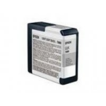 Epson inkcartridge T580900 light-light black
