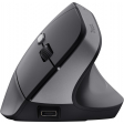Trust Bayo II draadloze ergonomische muis, voor rechtshandigen