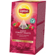 Lipton thee, Bosvruchten, Exclusive Selection, doos van 25 zakjes