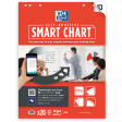 Oxford Smart Chart zelfklevende flipchartblok 60 x 80 cm, pak met 20 vel, blanco