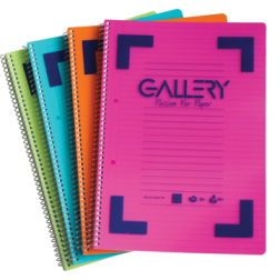 Gallery Spiraalschrift Bicolor ft 21 x 29,7 cm (A4), geruit 5 mm