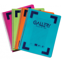 Gallery Spiraalschrift Bicolor ft 14,8 x 21 cm (A5), geruit 5 mm