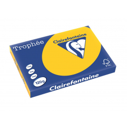 Clairefontaine Trophée Intens, gekleurd papier, A3, 120 g, 250 vel, zonnebloemgeel