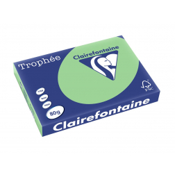 Clairefontaine Trophée Pastel, gekleurd papier, A3, 80 g, 500 vel, natuurgroen