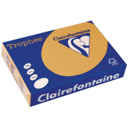 Clairefontaine Trophée Pastel, gekleurd papier, A4, 160 g, 250 vel, mokkabruin