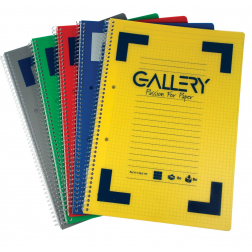 Gallery Traditional spiraalschrift ft A4, gelijnd, geassorteerde kleuren, 160 bladzijden