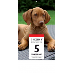 Rugschild met doorlopende foto voor de 'Druivelaar' en de 'Sablier', 2026