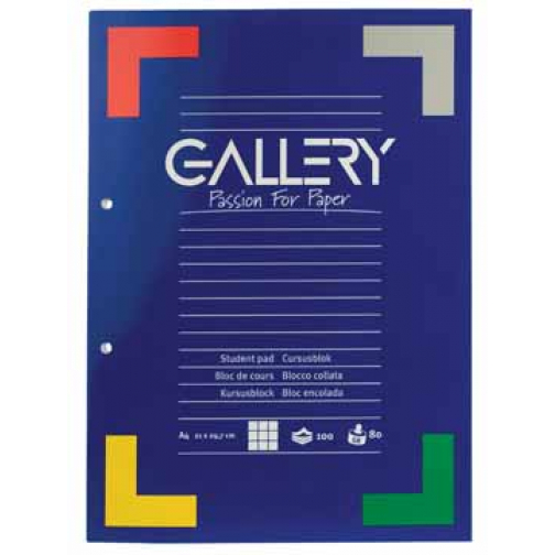 Gallery cursusblok, ft A4, 80 g/m², 2-gaatsperforatie, geruit 5 mm, 100 vel