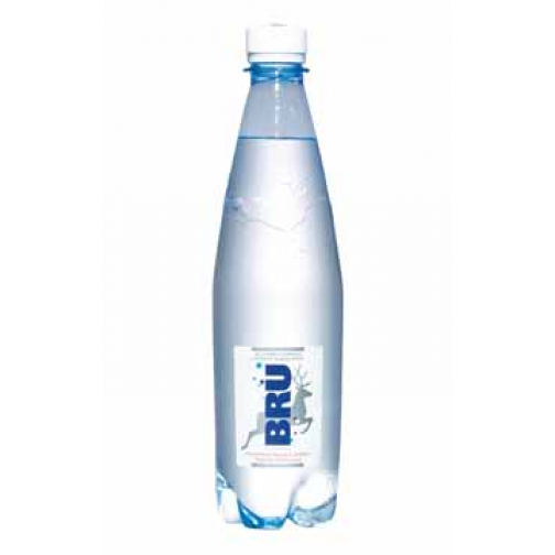 Bru lichtsprankelend water, fles van 50 cl, pak van 24 stuks