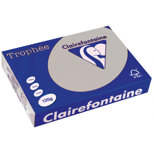 Clairefontaine Trophée Pastel, gekleurd papier, A4, 120 g, 250 vel, lichtgrijs