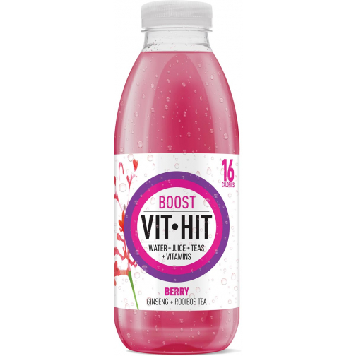 Vit Hit vitaminedrank Boost, flesje van 50 cl, pak van 12 stuks