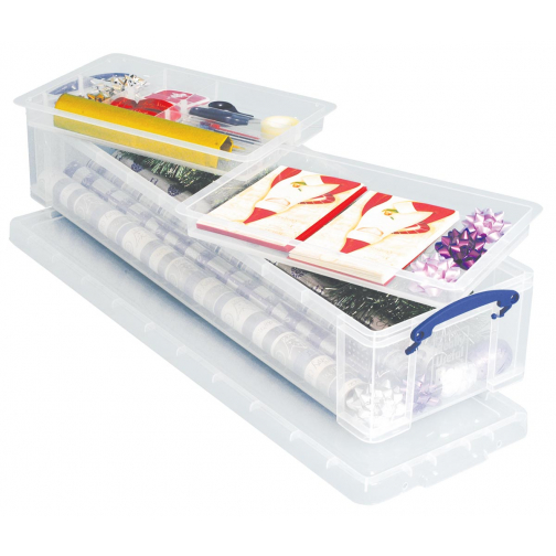 Really Useful Box opbergdoos 22 liter met 2 dividers, transparant