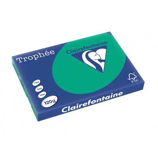 Clairefontaine Trophée Intens, gekleurd papier, A3, 120 g, 250 vel, dennengroen