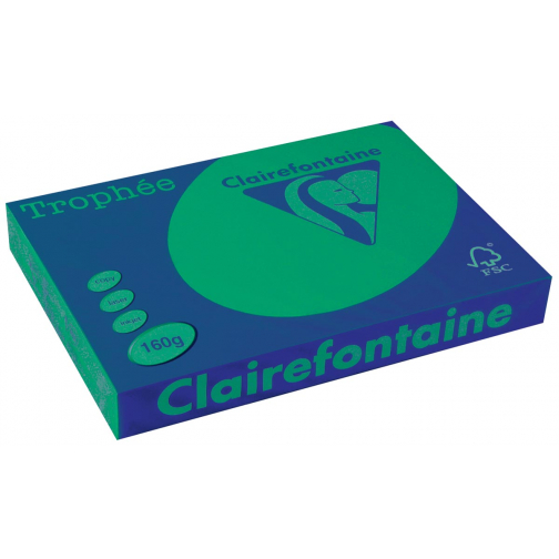 Clairefontaine Trophée Intens, gekleurd papier, A3, 160 g, 250 vel, dennengroen