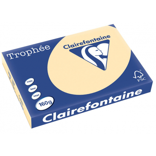 Clairefontaine Trophée Pastel, gekleurd papier, A3, 160 g, 250 vel, gems