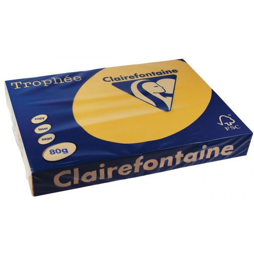 Clairefontaine Trophée Pastel, gekleurd papier, A3, 80 g, 500 vel, goudgeel