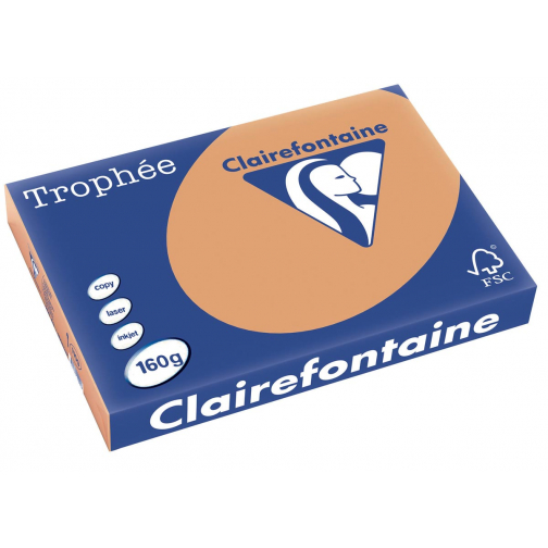 Clairefontaine Trophée Pastel, gekleurd papier, A3, 160 g, 250 vel, mokkabruin