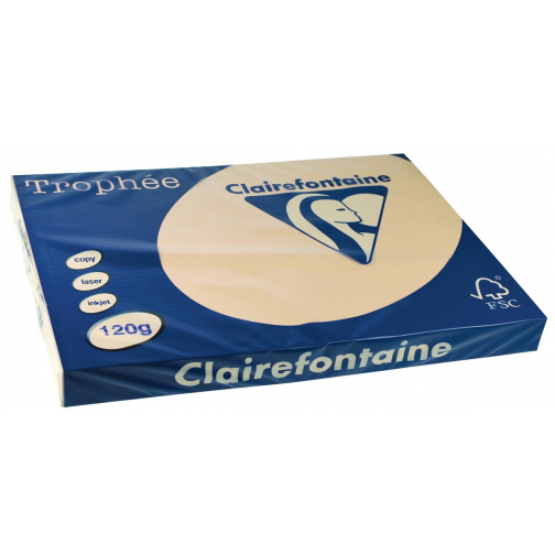 Clairefontaine Trophée Pastel, gekleurd papier, A3, 120 g, 250 vel, parelgrijs