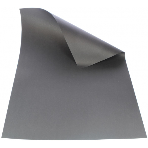 Folia gekleurd tekenpapier, 130 g, ft 50 x 70 cm, zwart