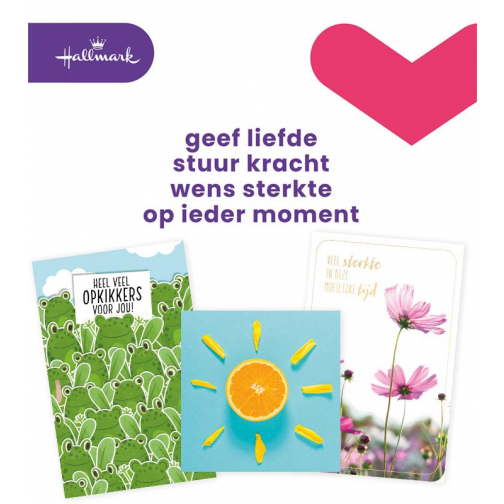 Hallmark navulset wenskaarten, beterschap/sterkte, pak van 12 stuks